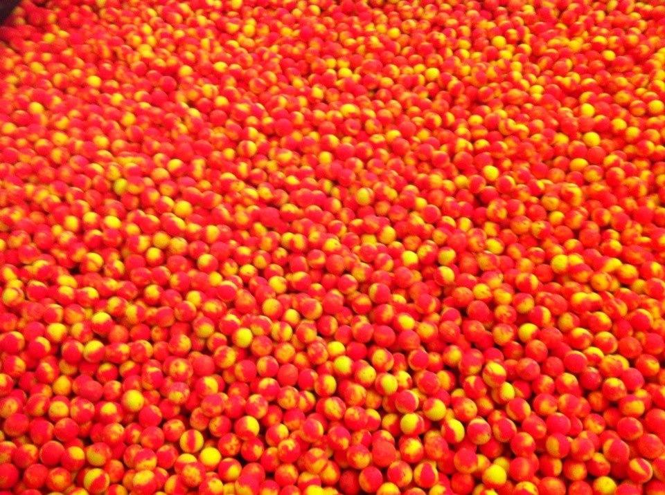 pescuit - 529367473599659366821918622931n.jpg